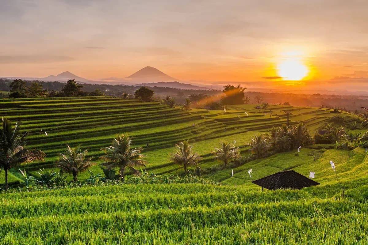 Best Villas in Bali for Families: Safety & Layout Guide